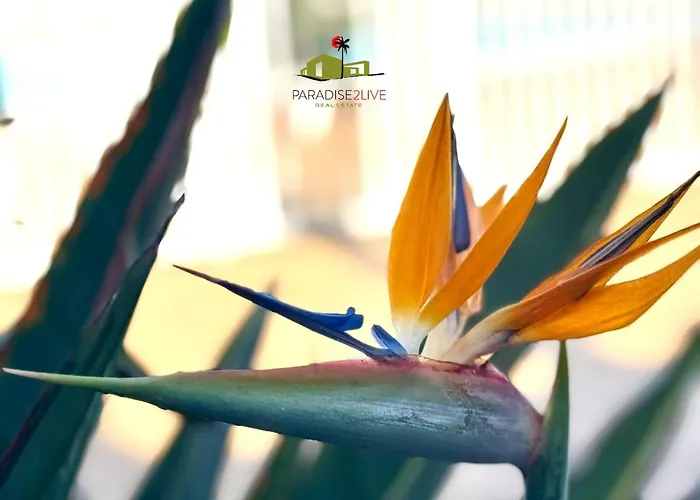 Casa Dudu Apartament *