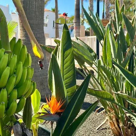 アパート Casa Dudu