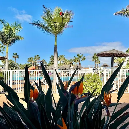 Casa Dudu * Corralejo